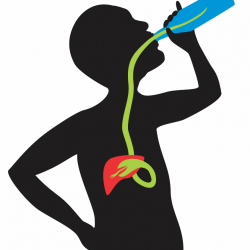 What Is Alcoholic Liver Disease? - Hep