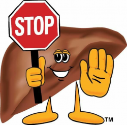 Free Liver Cliparts, Download Free Clip Art, Free Clip Art ...