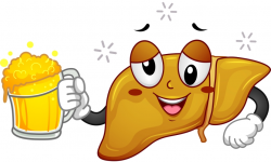 5 Things You Need to Know about Alcohol and Your Liver | The Fix