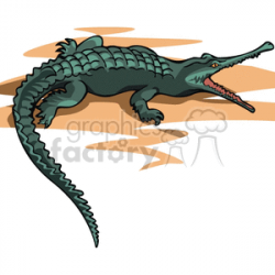 Crocodile clipart. Royalty-free clipart # 129240