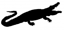 Crocodile Silhouette | Free download best Crocodile ...