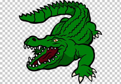 Download for free 10 PNG Alligator clip art top view top ...