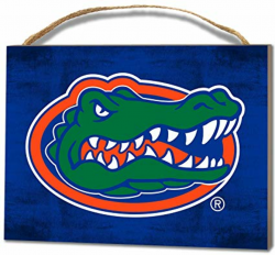 Amazon.com: KH Sports Fan 4\