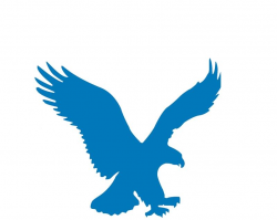 50+] American Eagle Logo Wallpaper on WallpaperSafari