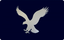 American Eagle Outfitters Gift Card