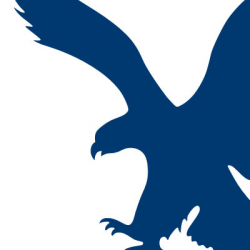 Blue eagle Logos
