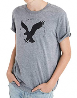 American Eagle Mens 3791-020 AE Big Eagle Logo Graphic Tee T-Shirt Shirt  Heather Grey