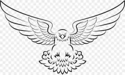 Black And White Flower