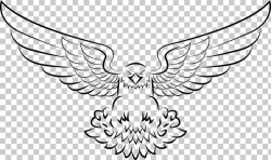 Bald Eagle Drawing Bird, american eagle, eagle logo PNG ...