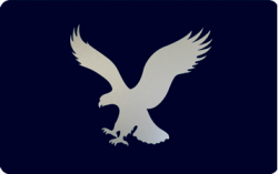American Eagle Outfitters® at Gift Card Gallery by Giant Eagle