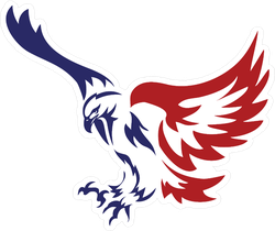 American Patriotic Eagle Special Force Logo Sticker
