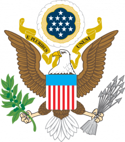 eagles symbolism | Why eagle is symbol of America? | Eagle ...