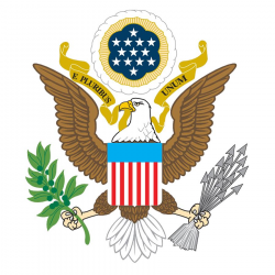 War, Seal, American, Eagle, Patriot, Flag, America, Bald Eagle, Usa, Bird  Of Prey, On White