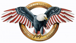 The American Eagle