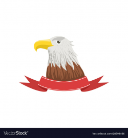 American bald eagle usa emblem with bird and