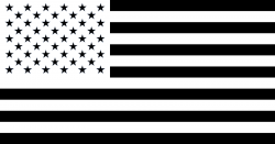 Flag of the United States Black Clip art - American Flag ...