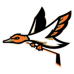 Anaheim Ducks Concept Logo | Sports Logo History
