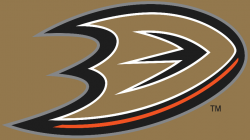 Anaheim Ducks Logos | History team and Primary emblem