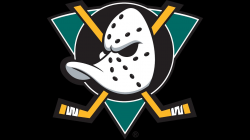 Logo Dojo: Mighty Ducks - YouTube