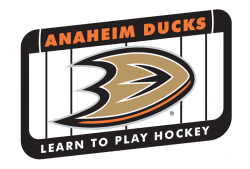 Youth Hockey - About The Rinks - The Rinks