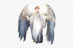 Angel, Feather, transparent png image & clipart free download