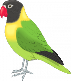 Bird Animal Clipart Pictures Royalty Free | Clipart Pictures Org ...