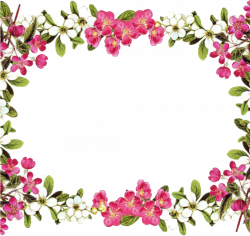 Download Flower Border Png Animal Clipart Hatenylo - Floral Borders ...