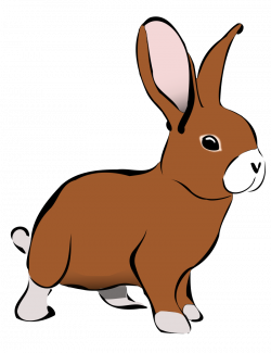 Cute Bunny Clipart - Clipart Kid | Bunnies | Pinterest | Clip art ...