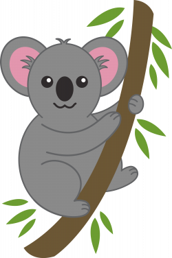 Koala Animal Clipart