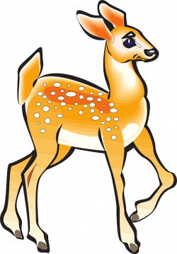 fawn, animal, tail, posing, legs, bent, spots, pose | Clipart idea ...