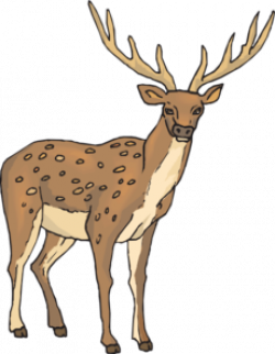 Free Deer Cliparts, Download Free Clip Art, Free Clip Art on Clipart ...