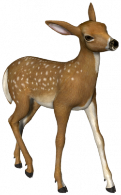 Pin by Naenae Nanny on animal2 | Deer, Animals, Clip art