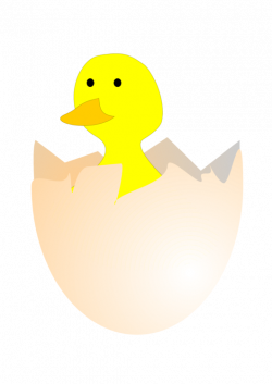 Duck Computer Icons Hatching Egg free commercial clipart - Duck ...