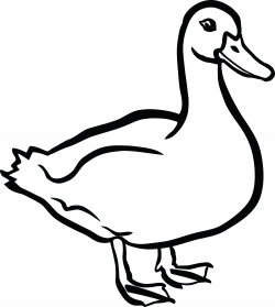 duck clipart black and white | Carving Patterns | Pinterest ...