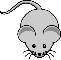 Simple Cartoon Mouse Clip Art at Clker.com - vector clip art online ...