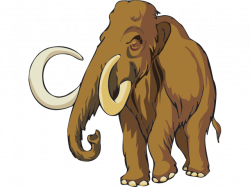 Free Endangered Animals Cliparts, Download Free Clip Art, Free Clip ...