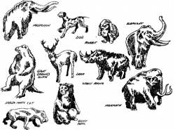 extinct animals |Zoo Animals - Clip Art Library