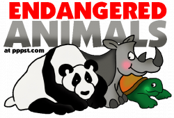 Endangered Animals - FREE Presentations in PowerPoint format, Free ...