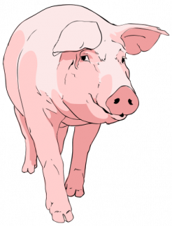 Description Pig clipart 01.svg | Clipart 1 Vintage Images, Fonts ...