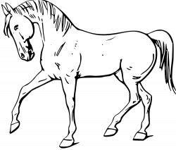 Horse Clipart | Free Download Clip Art | Free Clip Art | on Clipart ...