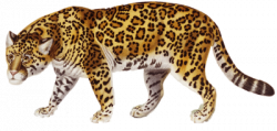 Download Free png Jaguar Claw Png | DLPNG