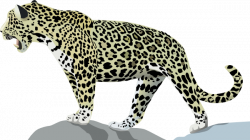 Jaguar 3 Clip Art at Clker.com - vector clip art online, royalty ...