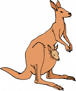 Free Kangaroo Cliparts, Download Free Clip Art, Free Clip Art on ...