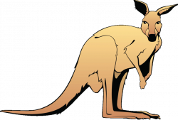 Free Kangaroo Images, Download Free Clip Art, Free Clip Art on ...