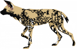 Feral dog png free download - RR collections