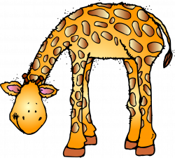 Zoo Animal Clipart | www.miifotos.com