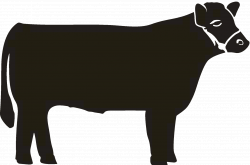 2011 NC State Fair Jr. Market Steer Nominations | animals ...