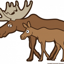 Free Moose Clipart cat clipart | house clipart online download