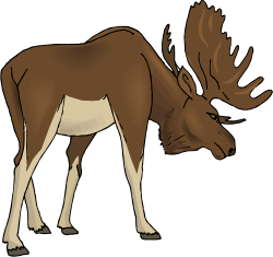 Free Moose Animal Cliparts, Download Free Clip Art, Free Clip Art on ...