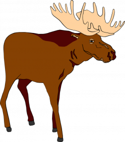 Free Moose Animal Cliparts, Download Free Clip Art, Free Clip Art on ...